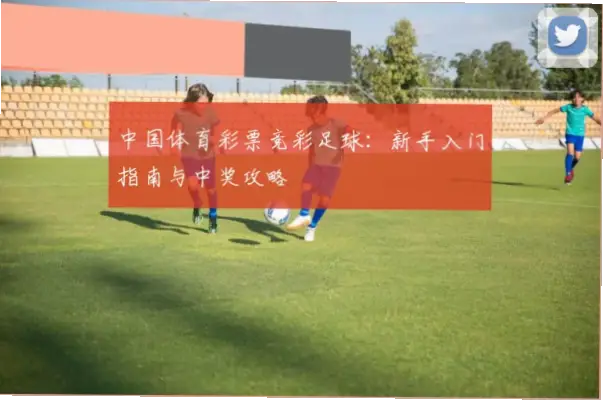 中国体育彩票竞彩足球玩法全解析